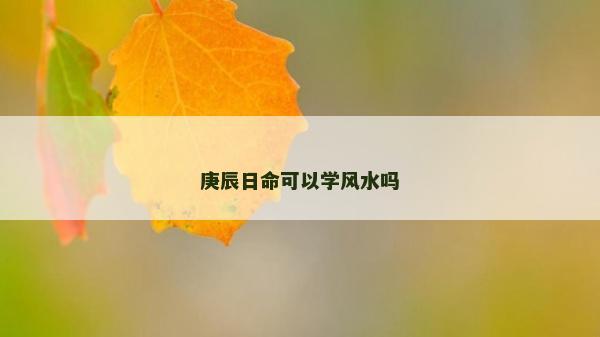 庚辰日命可以学风水吗