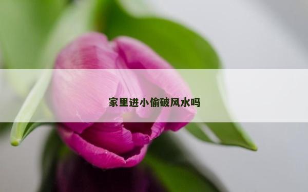 家里进小偷破风水吗