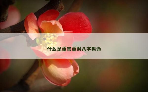 什么是重官重财八字男命
