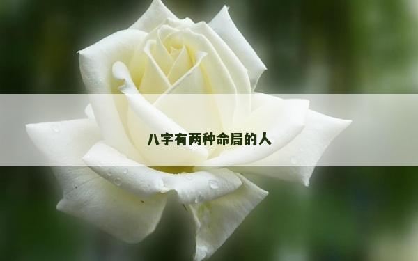 八字有两种命局的人