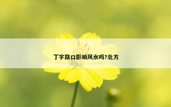 丁字路口影响风水吗?北方