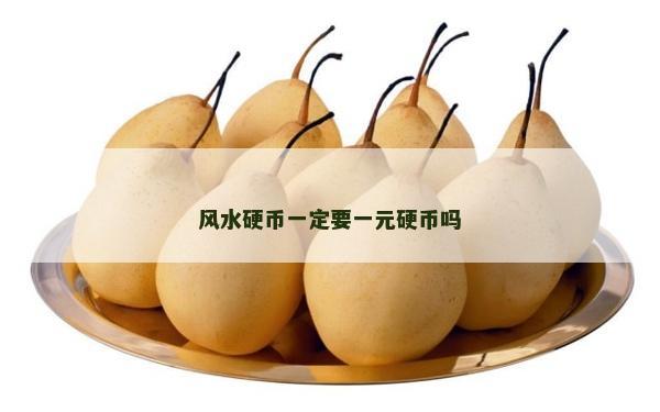 风水硬币一定要一元硬币吗
