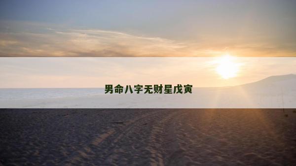 男命八字无财星戊寅