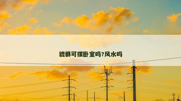 貔貅可摆卧室吗?风水吗