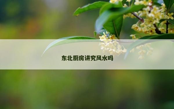 东北厨房讲究风水吗