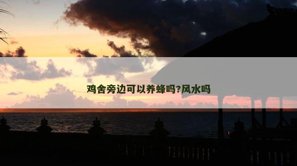 鸡舍旁边可以养蜂吗?风水吗