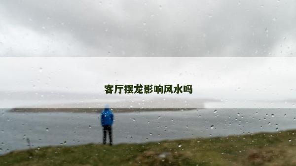 客厅摆龙影响风水吗