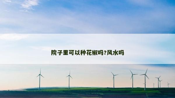 院子里可以种花椒吗?风水吗