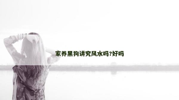家养黑狗讲究风水吗?好吗