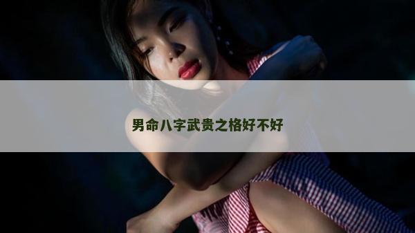 男命八字武贵之格好不好