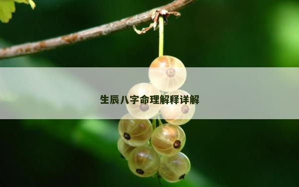生辰八字命理解释详解