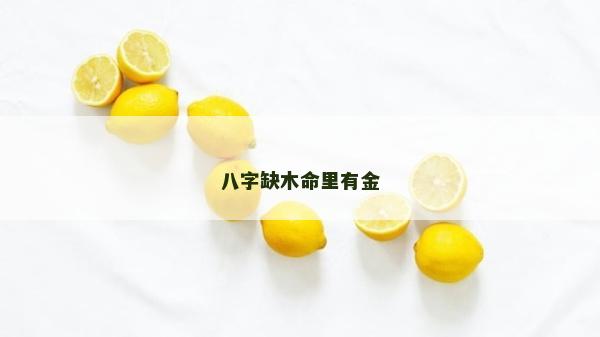 八字缺木命里有金