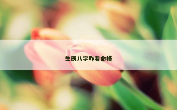 生辰八字咋看命格