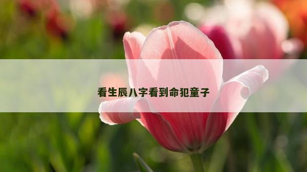 看生辰八字看到命犯童子