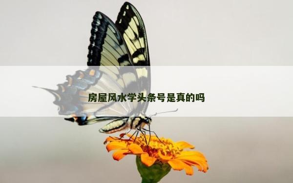 房屋风水学头条号是真的吗
