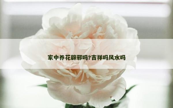 家中养花辟邪吗?吉祥吗风水吗