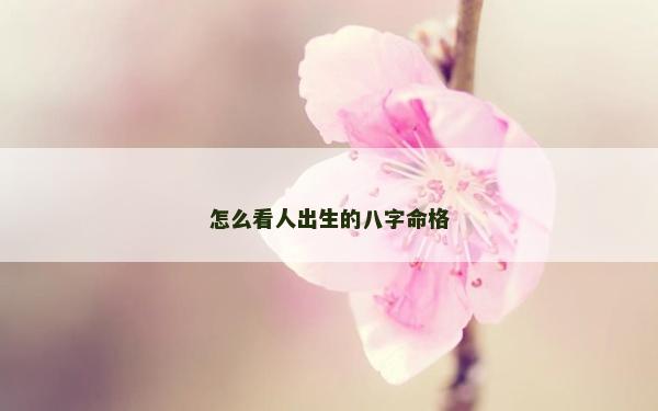怎么看人出生的八字命格