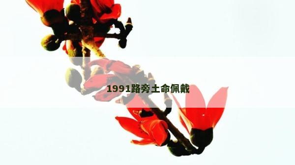 1991路旁土命佩戴
