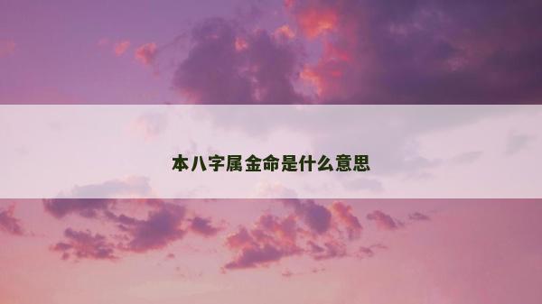 本八字属金命是什么意思