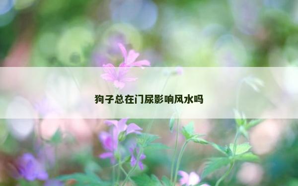 狗子总在门尿影响风水吗