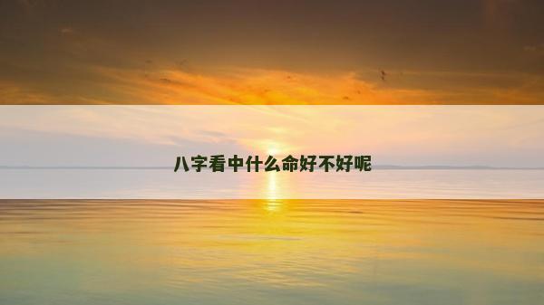 八字看中什么命好不好呢