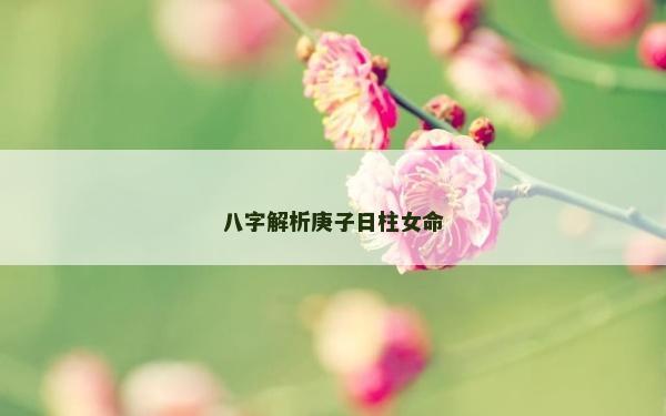 八字解析庚子日柱女命