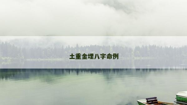 土重金埋八字命例