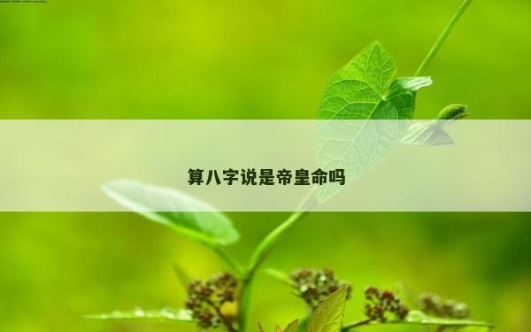 算八字说是帝皇命吗