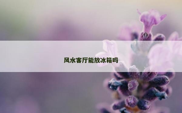 风水客厅能放冰箱吗