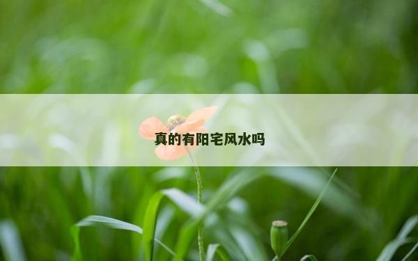 真的有阳宅风水吗