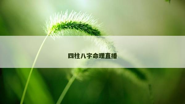 四柱八字命理直播
