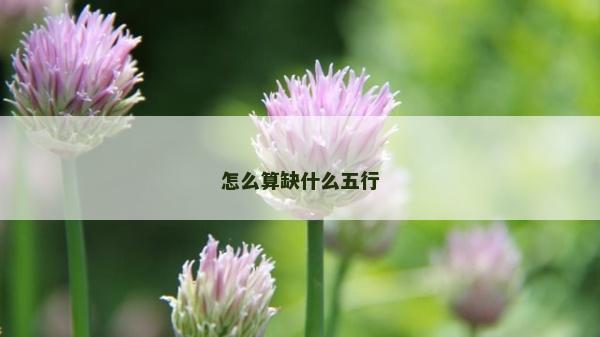 怎么算缺什么五行