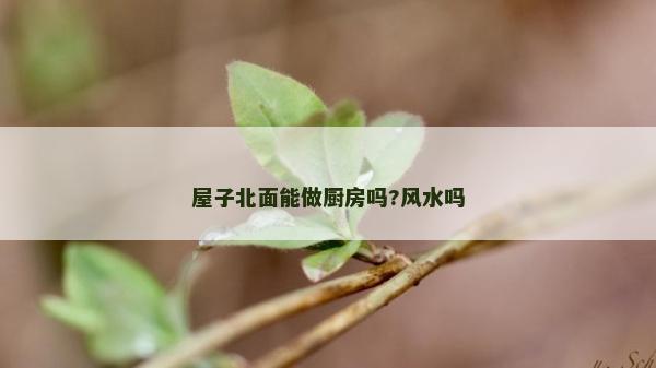 屋子北面能做厨房吗?风水吗