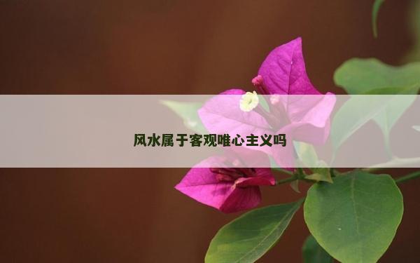 风水属于客观唯心主义吗