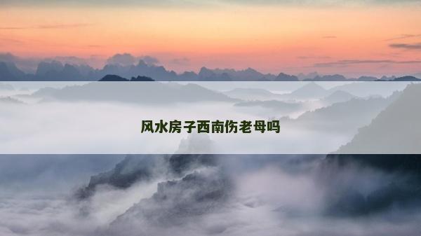 风水房子西南伤老母吗