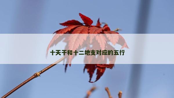 十天干和十二地支对应的五行