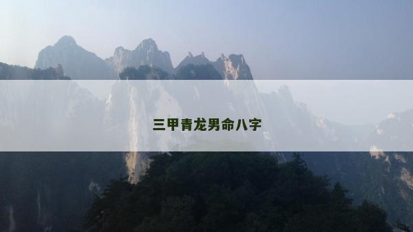 三甲青龙男命八字
