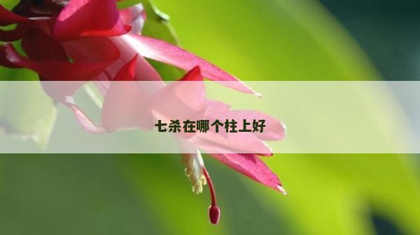 七杀在哪个柱上好