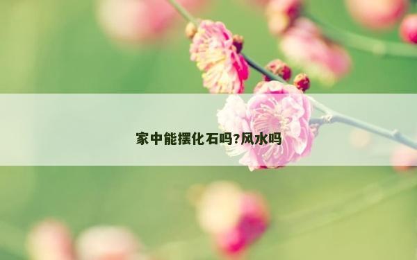 家中能摆化石吗?风水吗