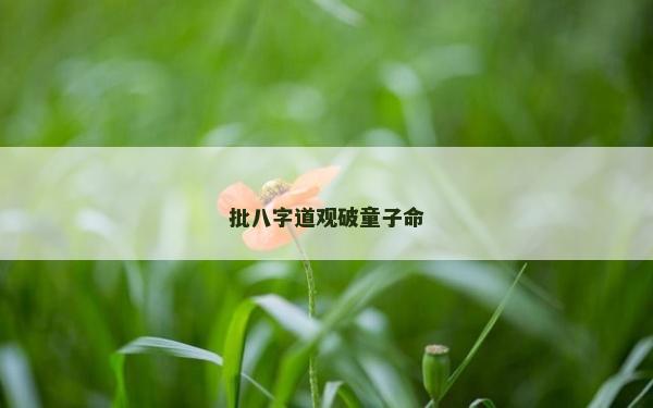 批八字道观破童子命