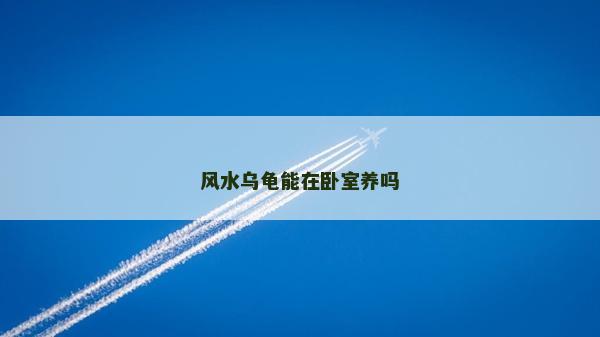 风水乌龟能在卧室养吗