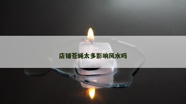 店铺苍蝇太多影响风水吗