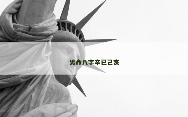 男命八字辛已己亥