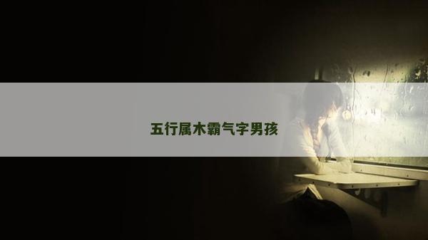 五行属木霸气字男孩