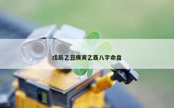 戊辰乙丑庚寅乙酉八字命盘