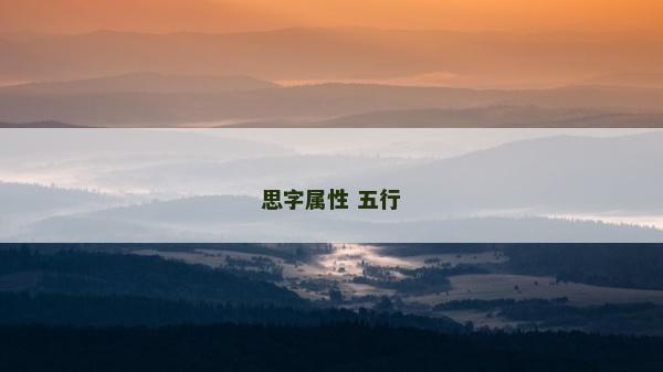 思字属性 五行