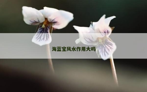 海蓝宝风水作用大吗
