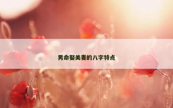 男命娶美妻的八字特点