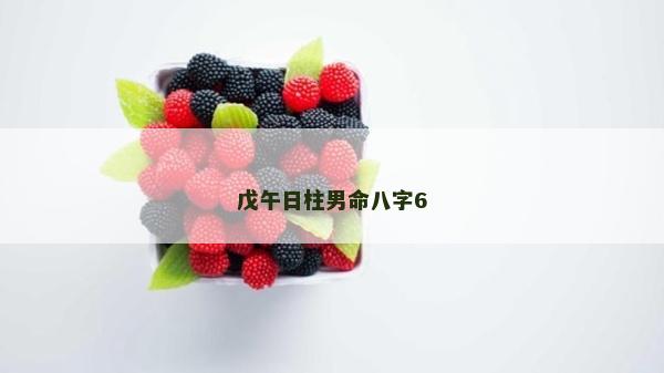 戊午日柱男命八字6