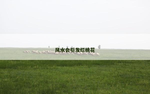 风水会引发烂桃花